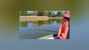 рыбалка в Астраханской области 2025