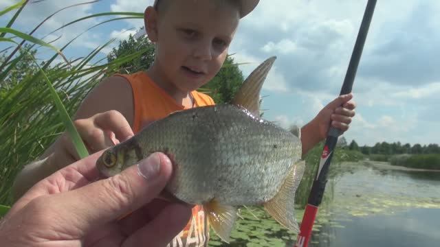 РЕКА ВОРОНЕЖ.  ДОБРАЯ РЫБАЛКА  У ДОБРОГО СЕЛА