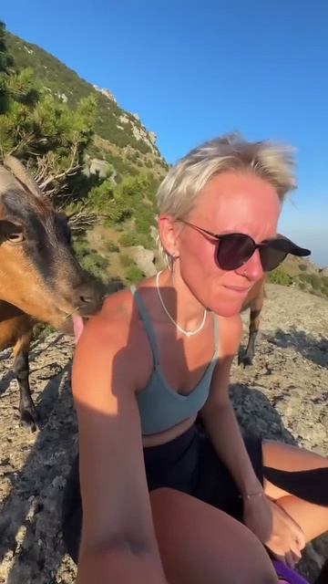 Зализали 🤣