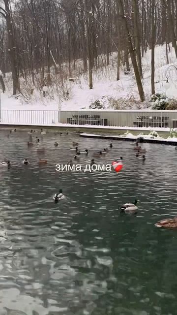 Снежка, но на 1 день #китай#шанхай#учебавкитае#жизньвкитае#china#chinastudy#fyp