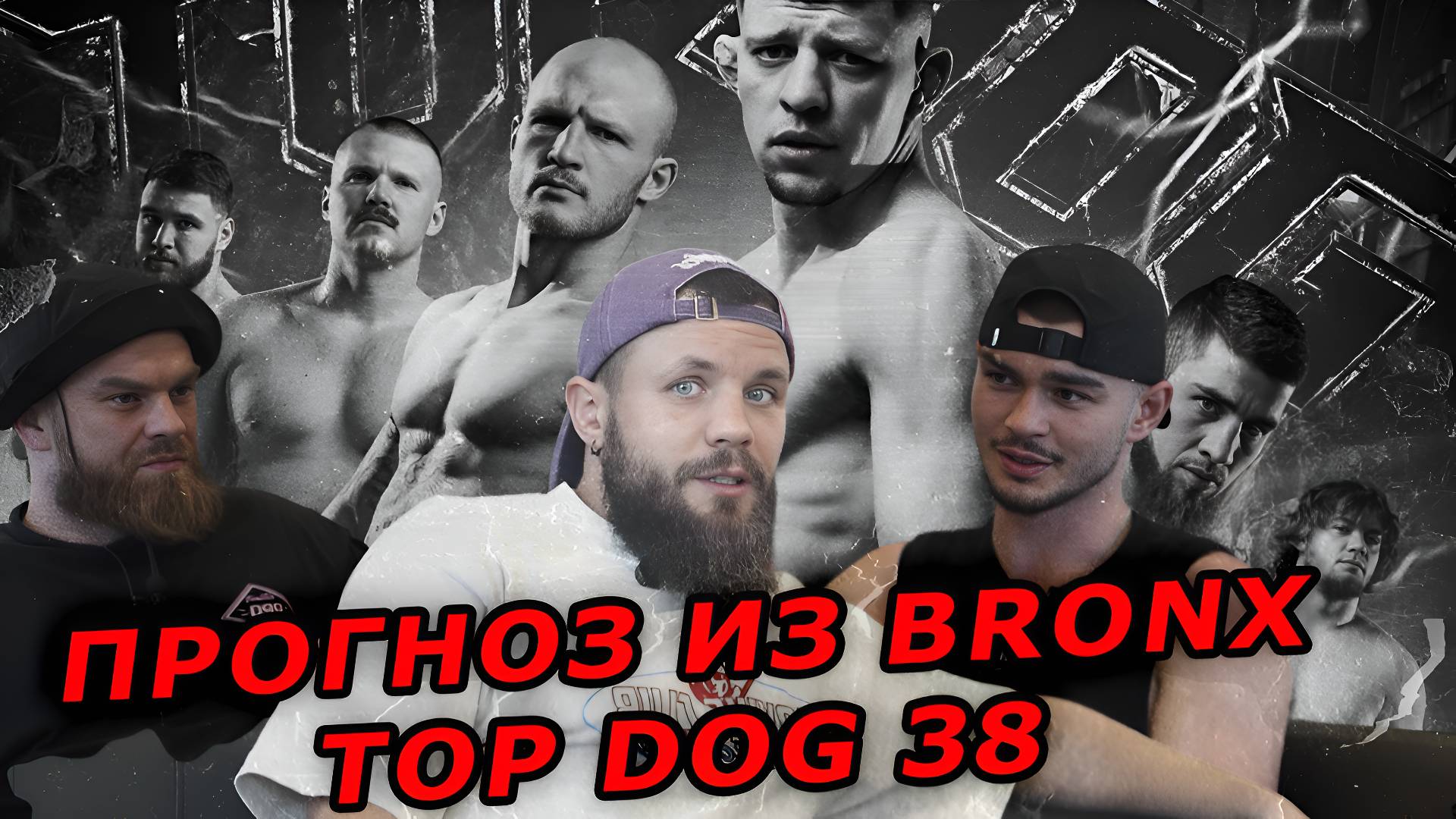 ПРОГНОЗ ИЗ BRONX НА TOP DOG 38