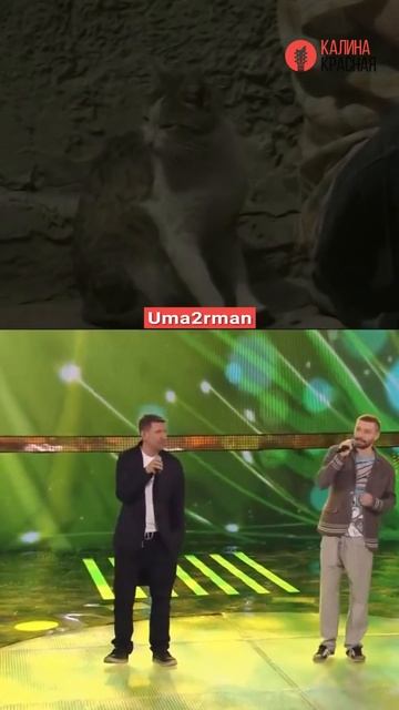 Олег Митяев или Uma2rman: чьё исполнение нравится больше? #shorts смотреть онлайн