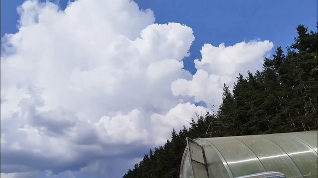 Движение облаков 24 июля 2025 смотреть онлайн