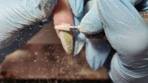 ВСЕГДА ДИЗАЙНЫ! ХРОНИКА ИЗ 5 РАБОТ!!! КОРРЕКЦИЯ ДЛЯ МАРИАННЫ!