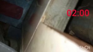 пять ночей с анонимусами