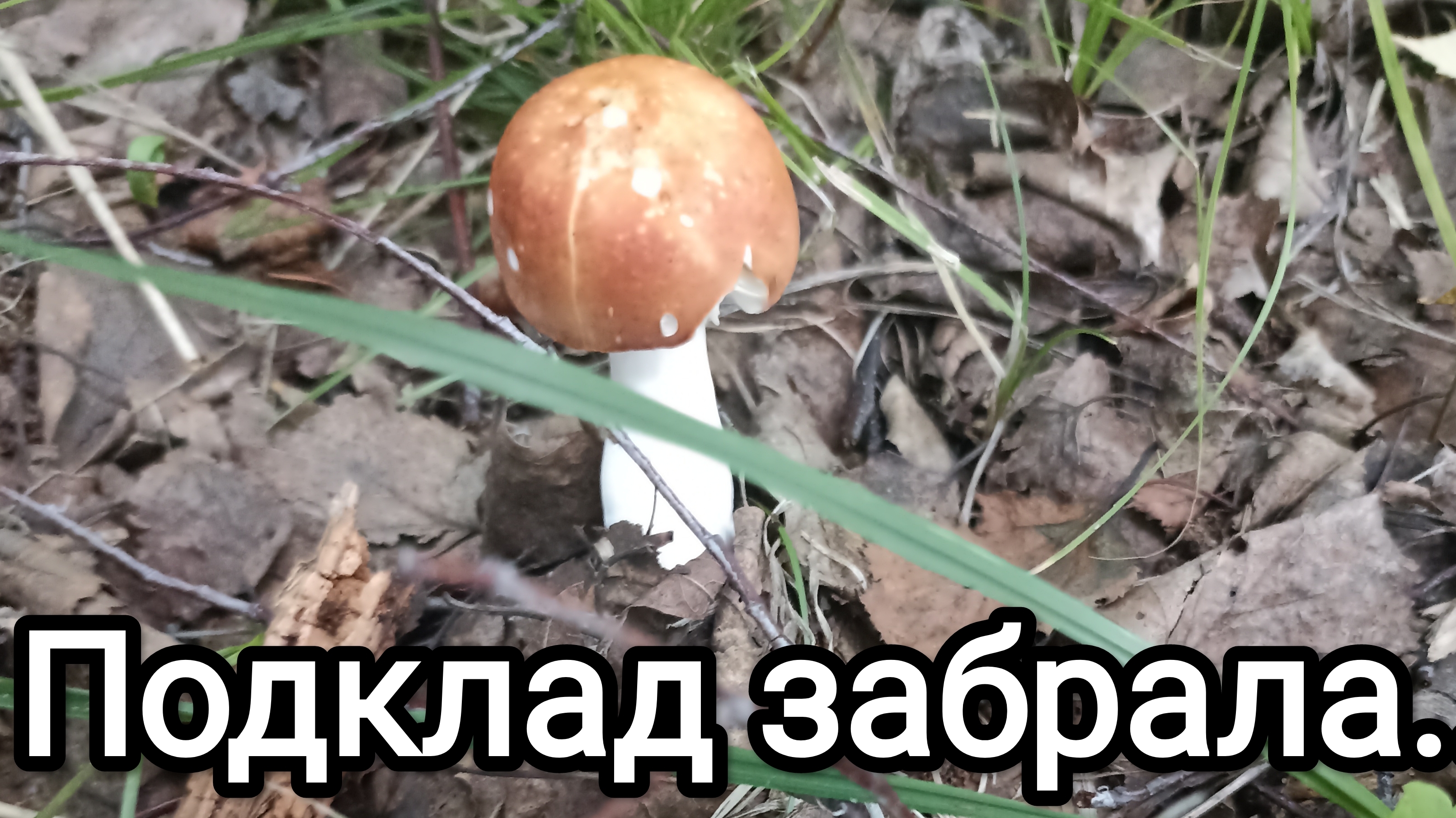 09-08-2025. Подклад забрала...