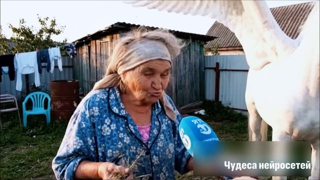 Бабушка и ее пегас
