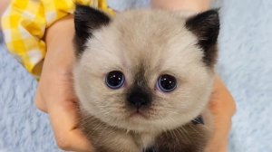 Как подобрать корм (2 критерия, Карл!) и много подгараний