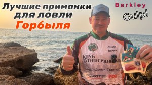 Лучшие приманки для ловли горбыля. Секреты успешной рыбалки на море!
