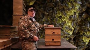 ПРОМЫШЛЕННОЕ ПЧЕЛОВОДСТВО. МНОГОКОРПУСНОЙ УЛЕЙ