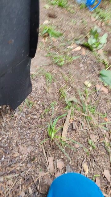 Я в лесу 6 смотреть онлайн