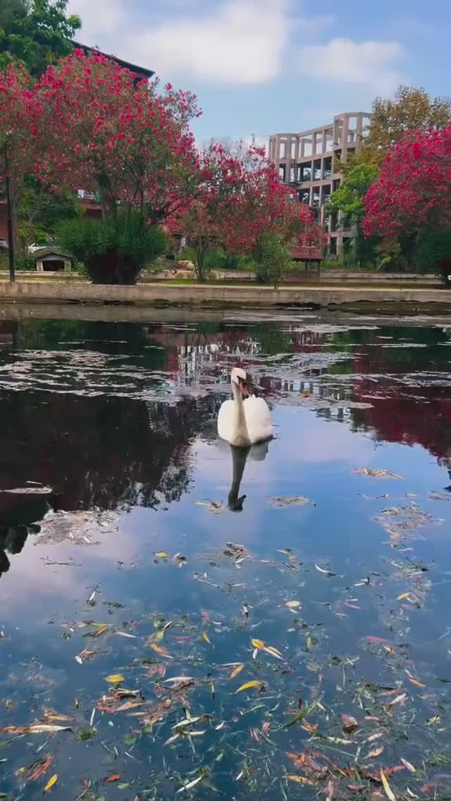 Абхазия, обстановка сейчас в Новоафонском Приморском парке (9 августа, ЛЕТО-2025) смотреть онлайн