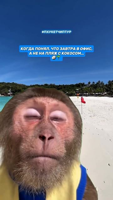 То чувство, когда улетаешь из Таиланда … 🫠Кто так же? смотреть онлайн