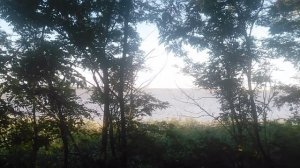 VID_20250809_180107.mp4