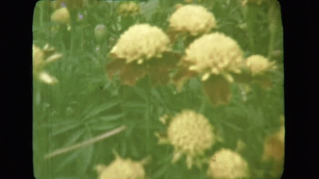 Люда с дедушкой Лёшей. Город Горький, 1973 год. смотреть онлайн