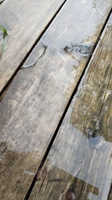 Летний дождь 🌧️ Релакс 🌝 Дождливый вайб