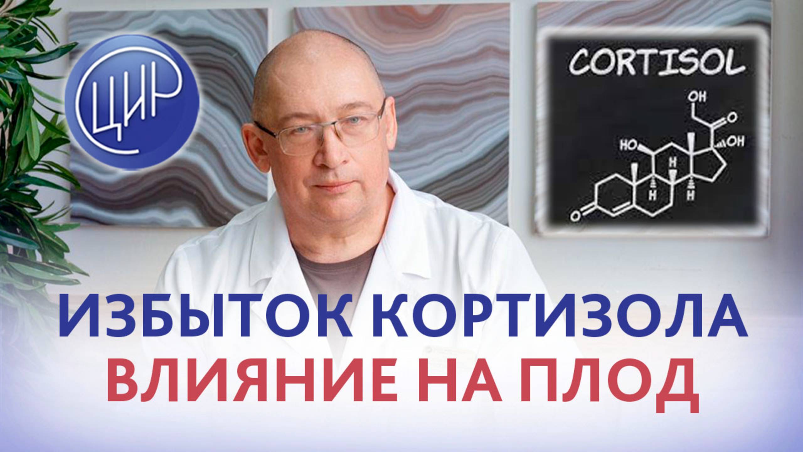 Чем опасен стресс при беременности. Влияние стресса на здоровье внутриутробного ребёнка. смотреть онлайн