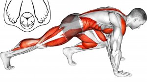 Избавьтесь от Жира и подтяните Мышцы