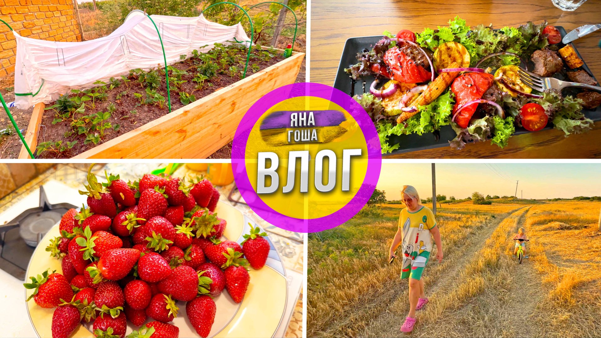 Наш персиковый сад ИСЧЕЗ! Его НЕТ!! Что с высокими грядками? Клубника в подарок. Удобное кафе. смотреть онлайн