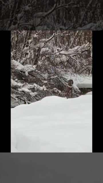 Найду ли брод? А надо ли? 😀