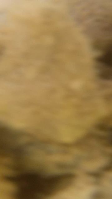 что под водой сылвы