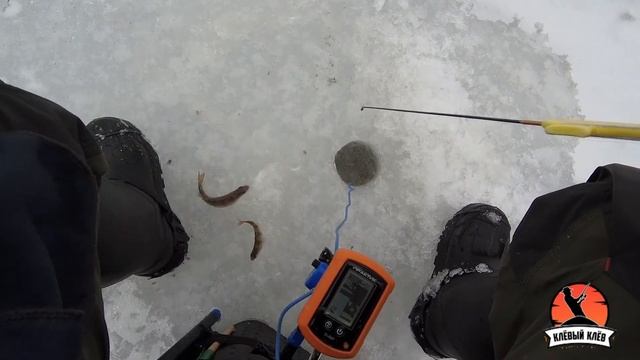 Чемпионат Московской области по ловле на блесну со льда 28-29.01.2023.
