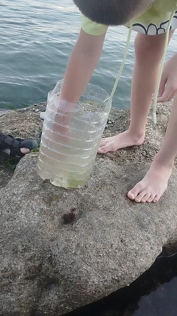 Давид Новороссийск