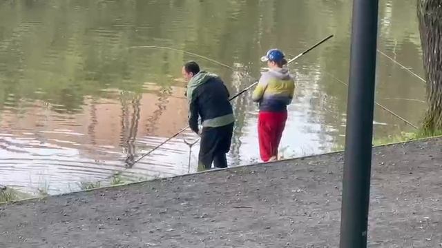 Поимка смотреть онлайн