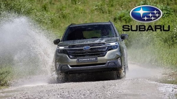 Что нового в Subaru Forester 2025? Детальный обзор и цены