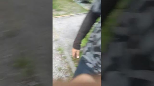 скибиди доп доп доп ес ЕС