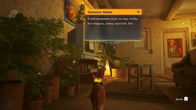 Стрей перпетуум