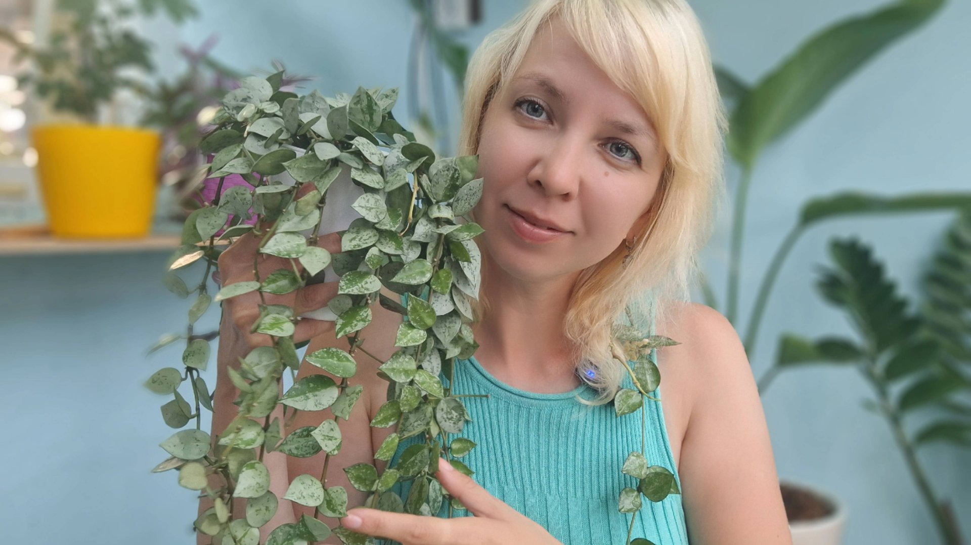 Мои растения: кротон, дисхидия и хойя смотреть онлайн