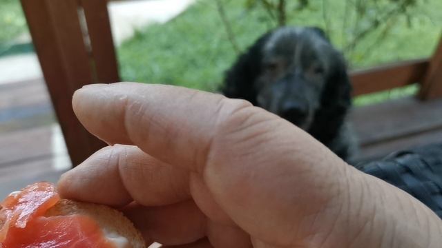 СОЧИ ГОРНОЕ ЛОО ВЕЧЕР 09.08.2025 смотреть онлайн