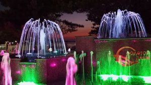 video_2025-08-09_08-53-46 (3)