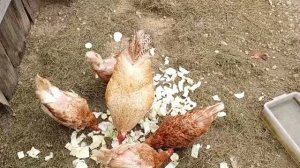 📢🚘🧐Поедем поглядим🧐 находки с🗑📢