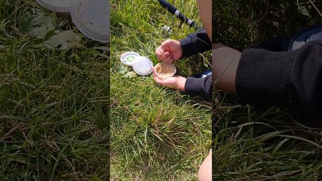 Интересная рыбалка! Калужская область 🥈.