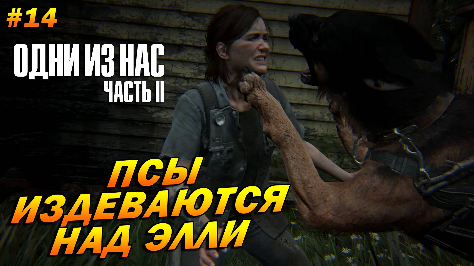 The Last of Us Part 2: Remastered ➤ Прохождение #14 (Реализм) ➤ Псы издеваются над Элли