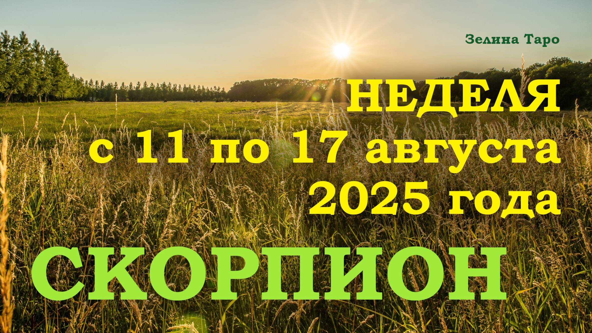 СКОРПИОН | ТАРО прогноз на неделю с 11 по 17 августа 2025 года