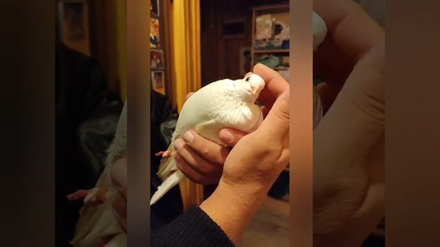 О новом дне