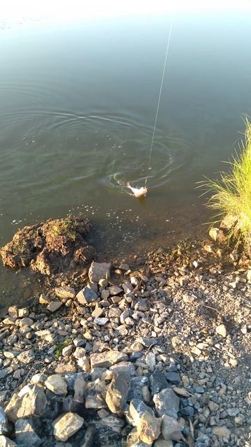 ХОРОШИЙ ДЕНЬ