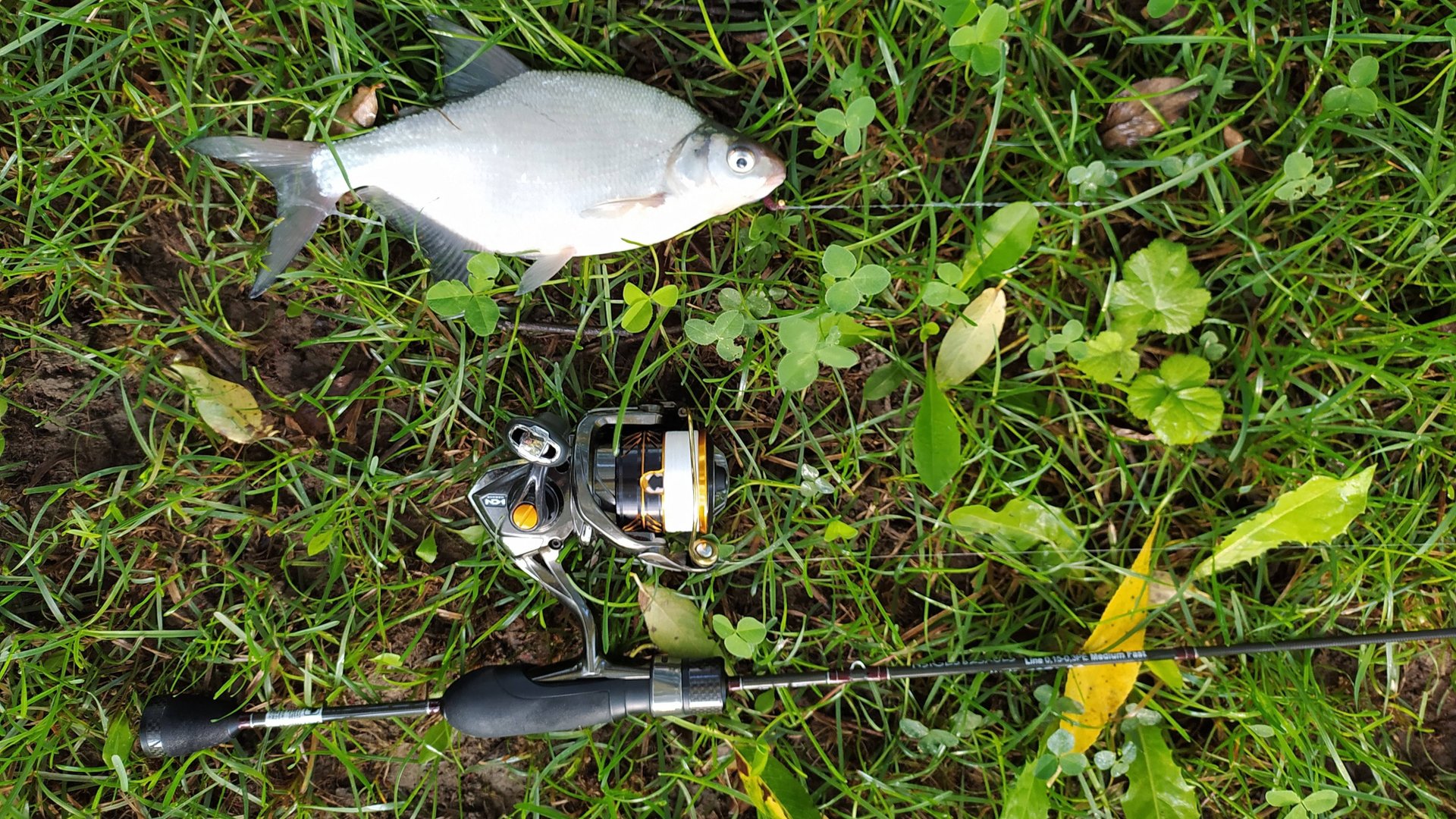 МОРМЫШИНГ. После дождей в начале августа