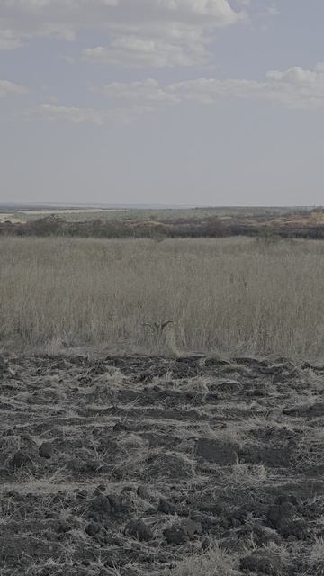 Заповедник 