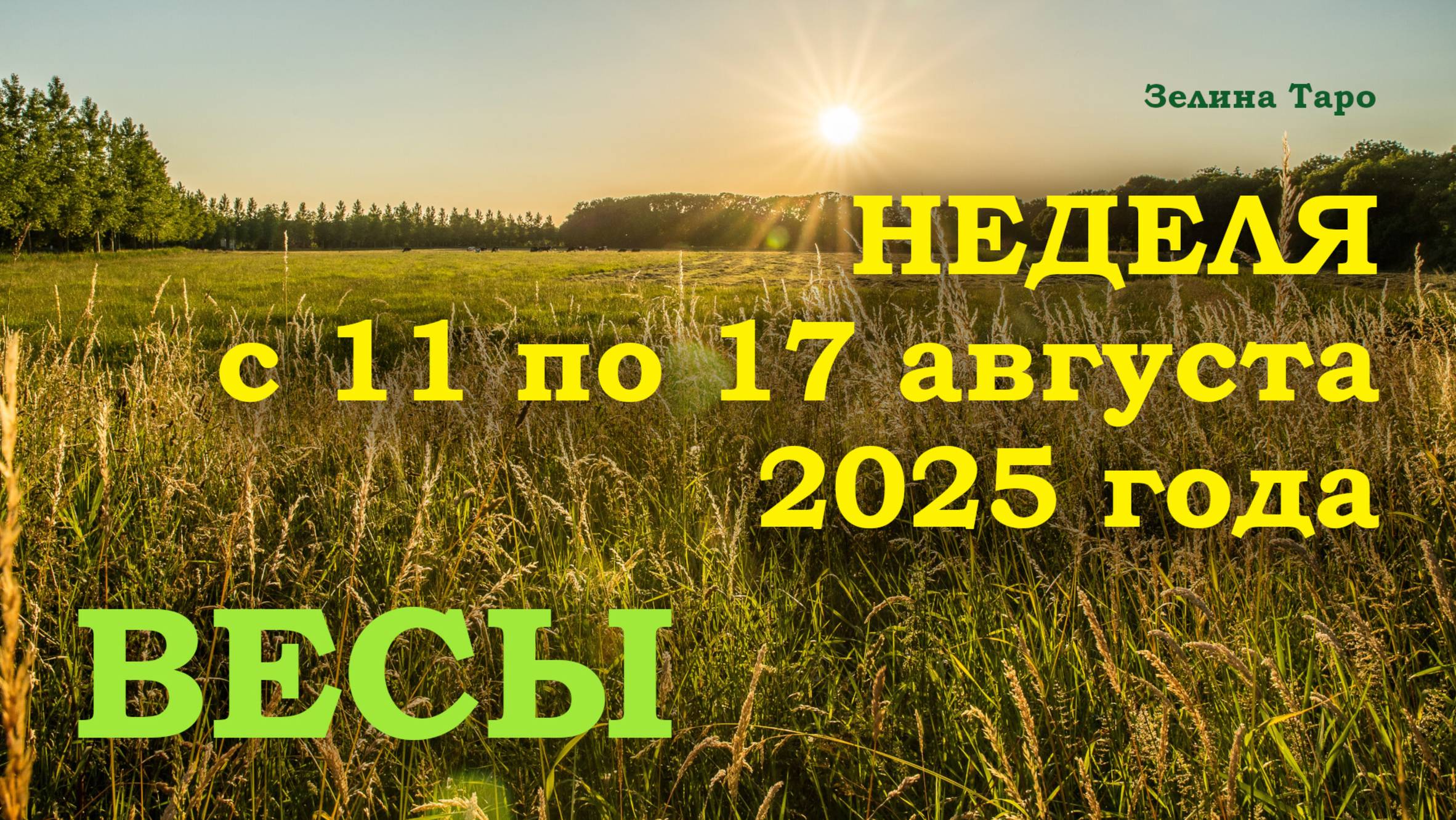ВЕСЫ | ТАРО прогноз на неделю с 11 по 17 августа 2025 года