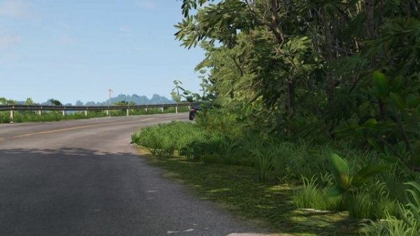 ДТП В ДЖУНГЛЯХ