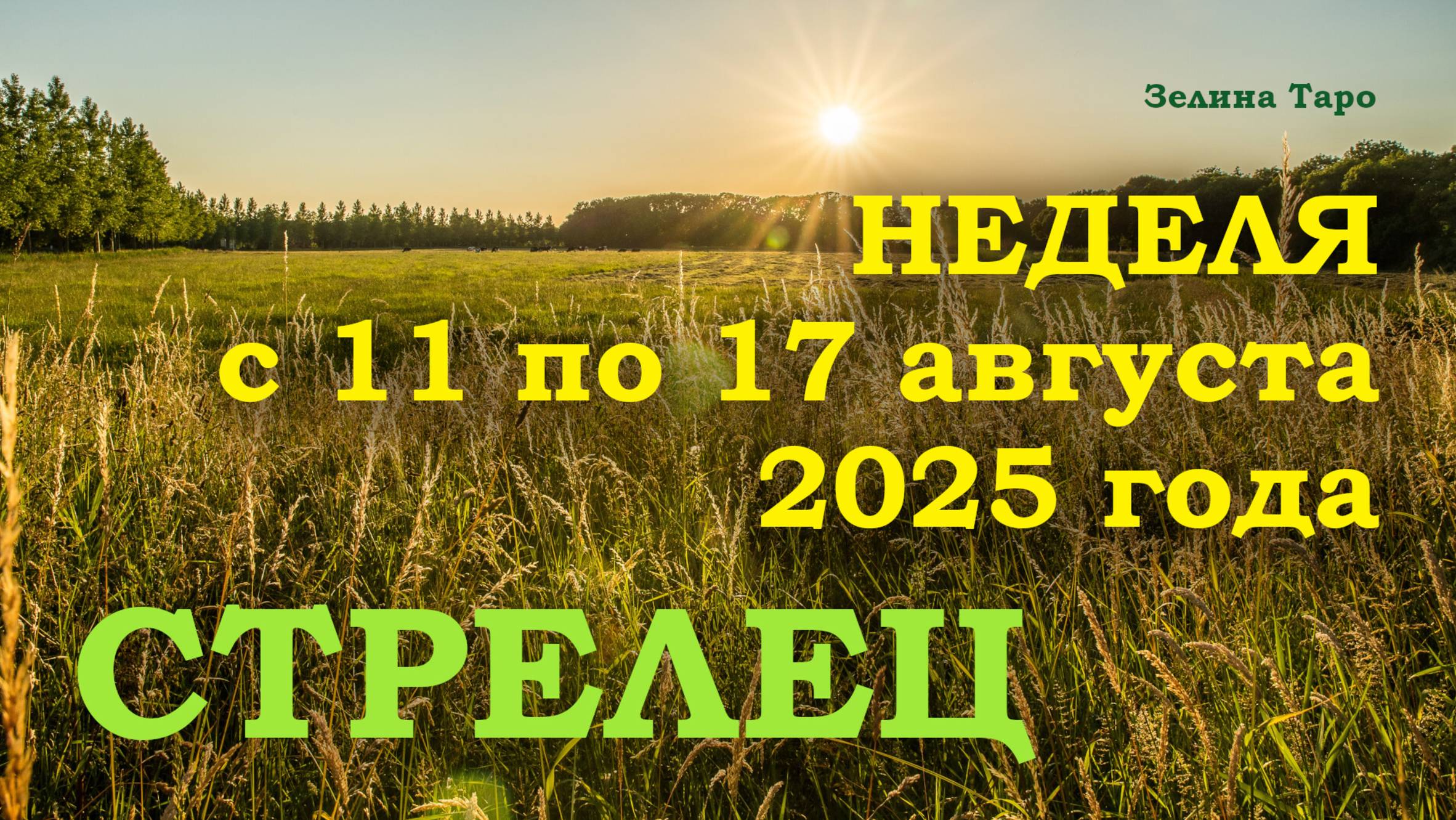 СТРЕЛЕЦ | ТАРО прогноз на неделю с 11 по 17 августа 2025 года