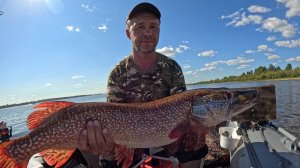 Щука на спининг. Семерочка на резину.