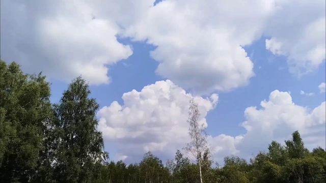 Движение облаков 29 июля 2025 смотреть онлайн