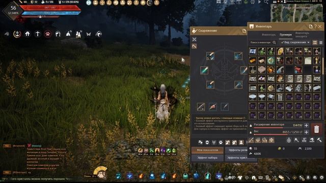 Black Desert ч124 Ну так быстро 100 порощка я явно не добуду смотреть онлайн