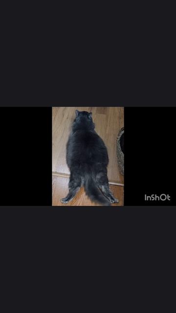 тик-так ходики, пролетают годики смотреть онлайн