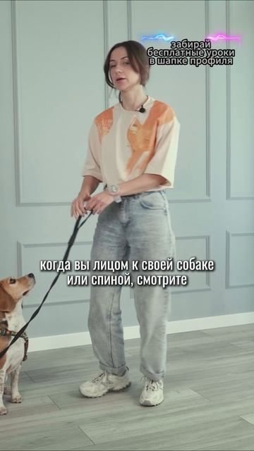 🎁Бесплатные уроки. Жми сюда! смотреть онлайн